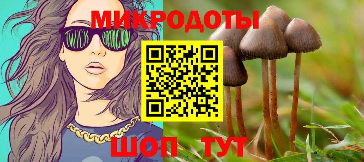 Протвино  Псилоцибиновые грибы прущие грибы  Вход с VPN  Галлюциногенные грибы ЛСД 